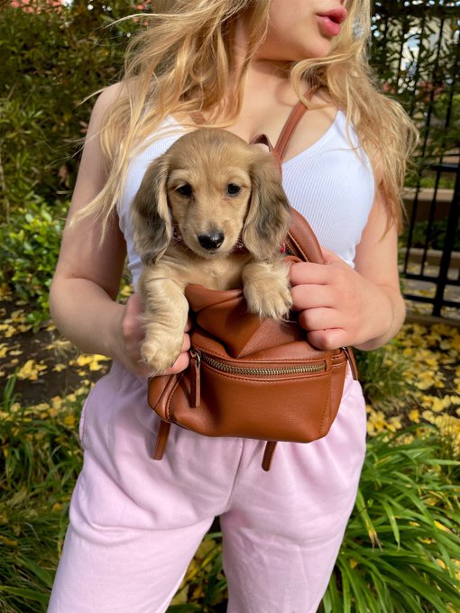 puppy love https://t.co/Gmxy6KWUak