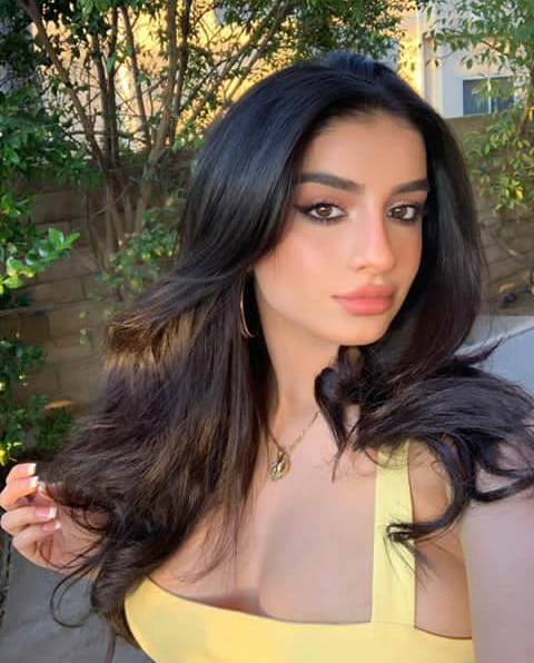 바카라사이트주소