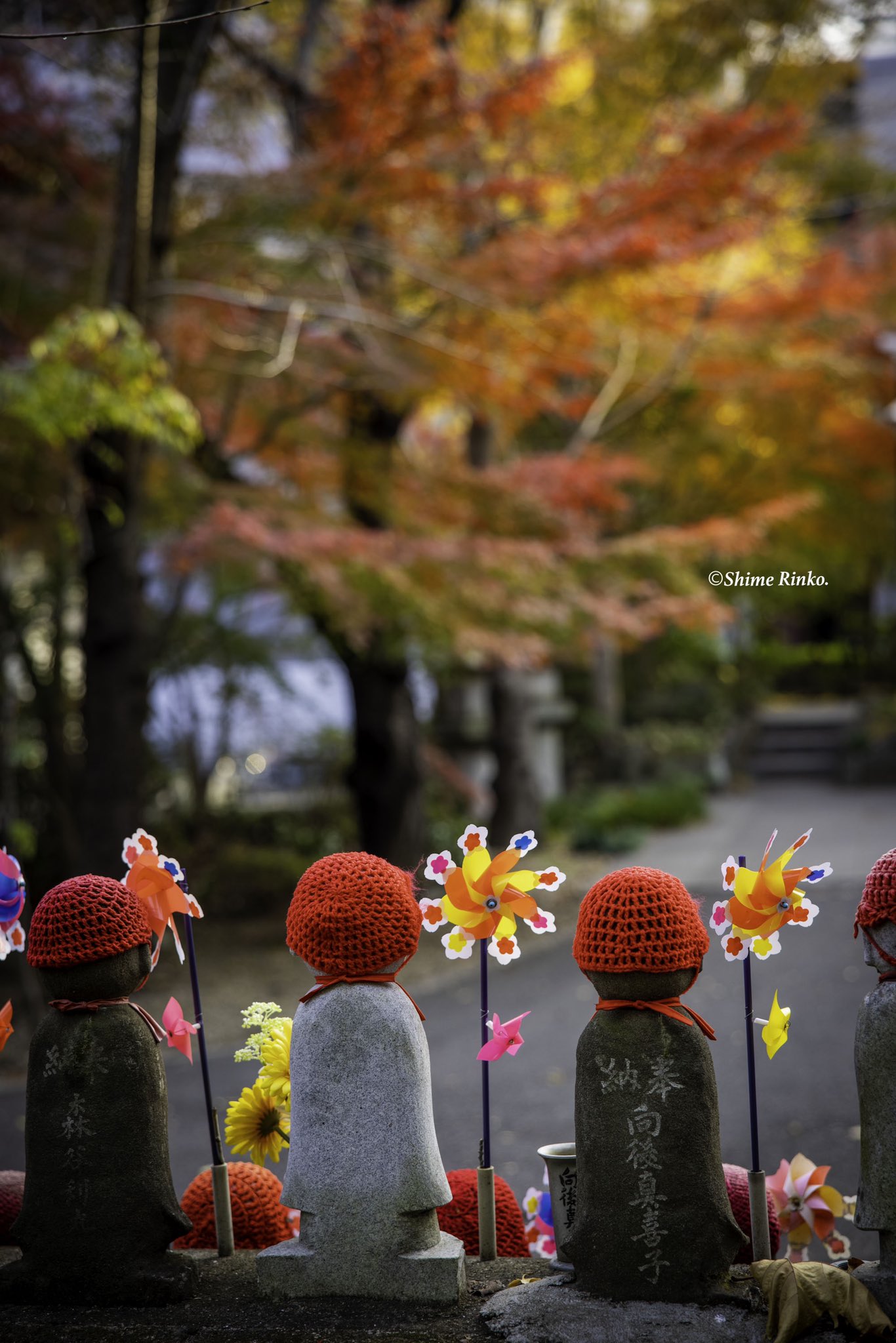 Shime Rinko Otoshinphoto Twitter