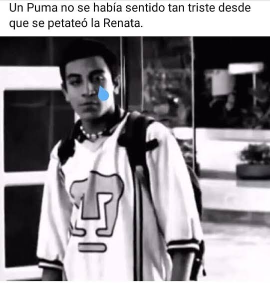 carlos eloy flores tweet media