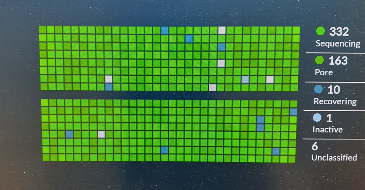 _Tim_Chalmers's tweet photo. A long time between sequencing runs this year. I'd forgotten how satisfying the sea of green can be #nanopore https://t.co/D3Jho9jIRN