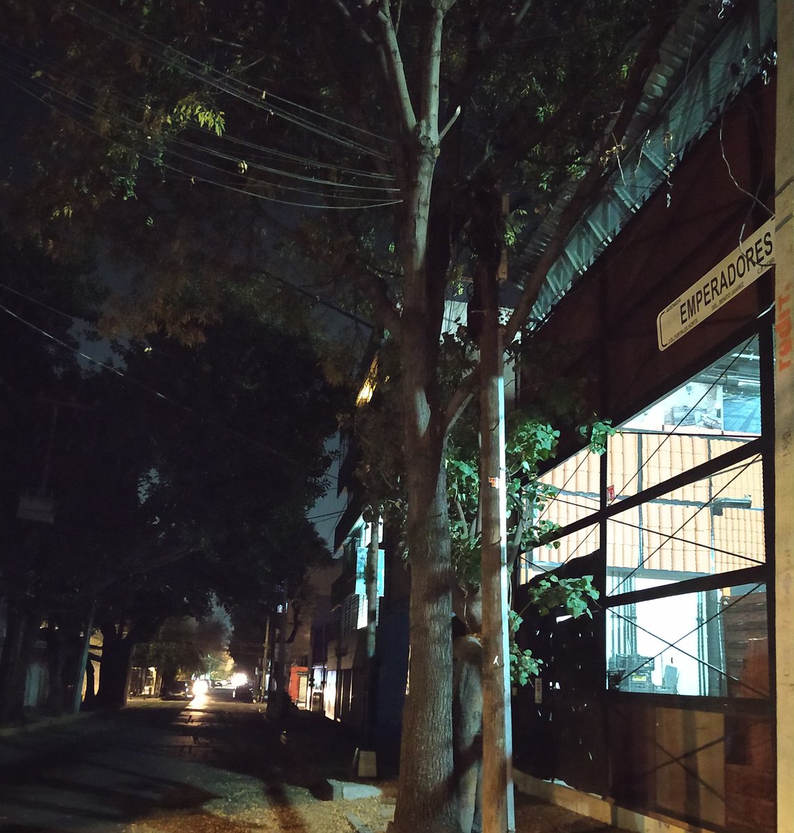 yaimbeatrix's tweet photo. @STaboadaMx  @BJAlcaldia @AccionesBJ nos apoyan con las luminarias de calle Emperadores, entre Vértiz y Trípoli, en col. Portales. Muy oscuro por las noches, da miedo caminar por este tramo y ya llevamos varios días. Gracias https://t.co/UIdFwqIVnM