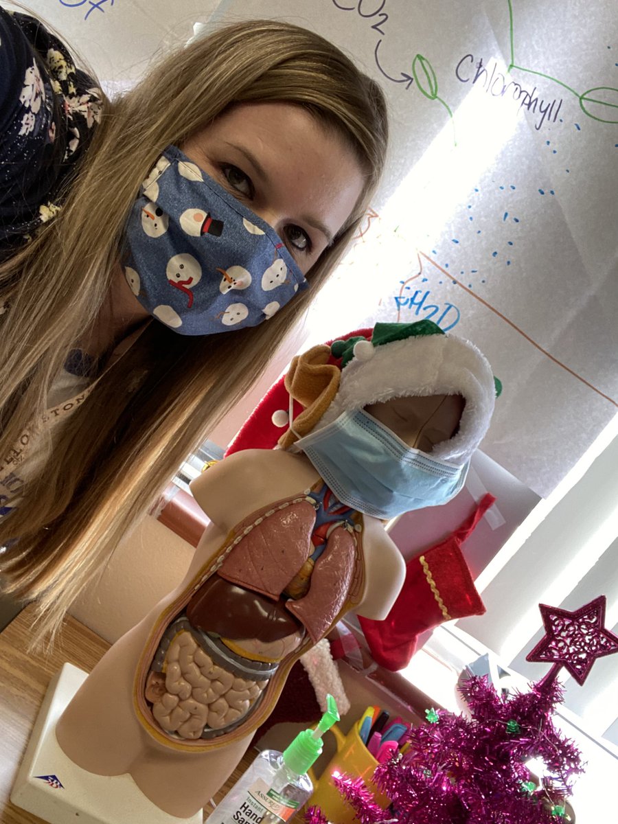MeredithScience's tweet photo. Just a science teacher with her elf. 😂👩‍🔬👩‍🏫🎅🏻#elfie https://t.co/GMBBHEtZ1r