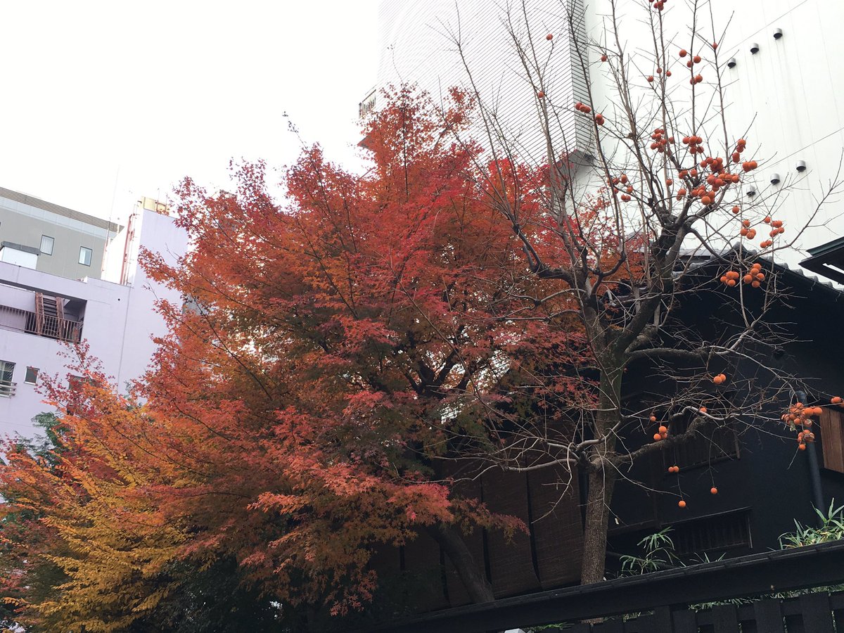 赤坂見附で飲み巡る Nnio9xmu3fkuz1u Twitter 赤坂見附で飲み巡る Nnio9xmu3fkuz1u Twitter