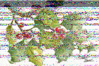 Hfzone_Int's tweet photo. Set #3
@SWRadiogram @ThisIsAMusicSho
#shortwave #radiogram #mfsk32 #mfsk64
--frigid https://t.co/kfGYh9AIQA