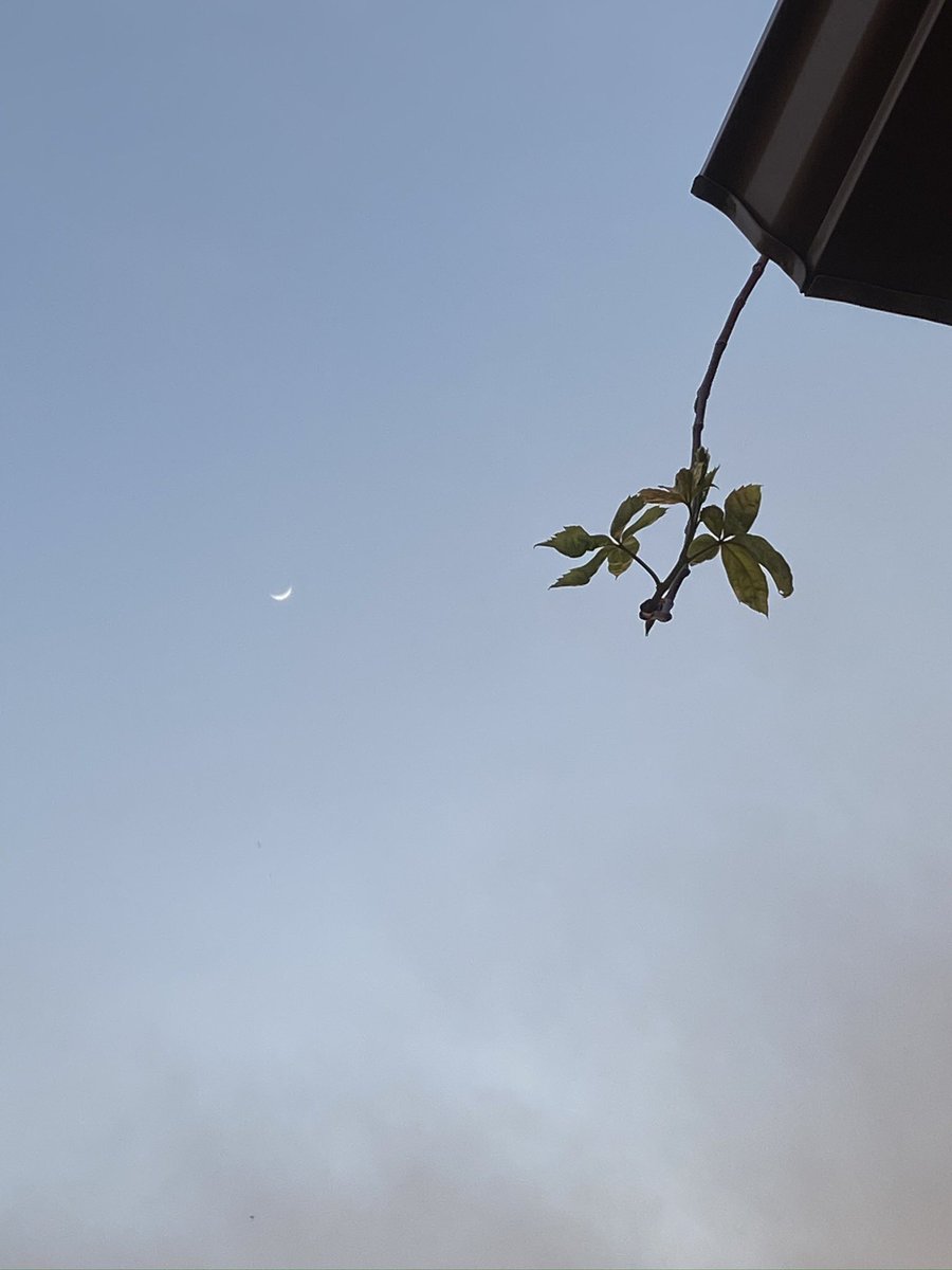 photos i took of the sky / moon; a thread