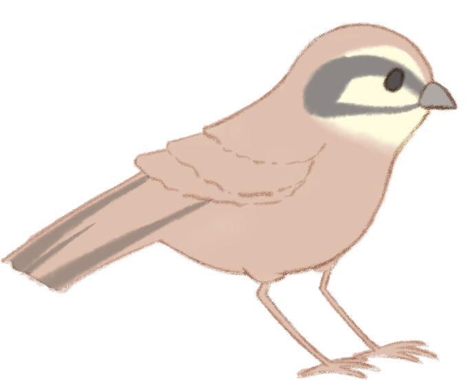 鳥のイラスト図鑑のtwitterイラスト検索結果 古い順