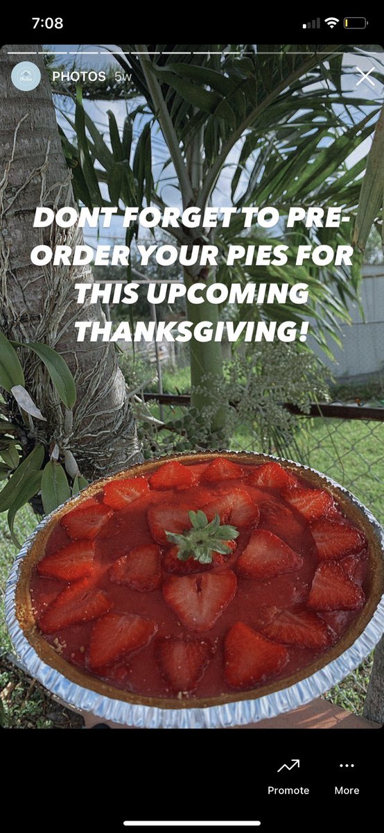 javierrSBR's tweet photo. Pie Company based in Miami, Fl.

Our pies are freshly made to order , Share and like! Our next client may be on your timeline 💙❤️ @houseofpiemiami https://t.co/OT949KM78Z