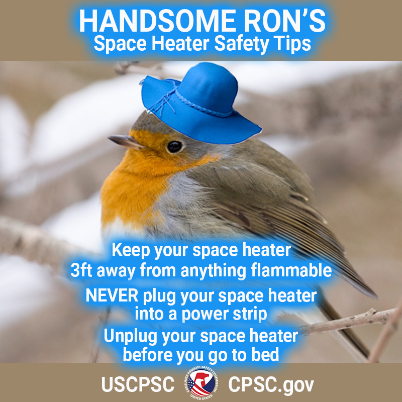 A picture of a European robin in a blue sunhat. The text reads: Keep your space heater 3ft away from anything flammable. Never plug your space heater into a power strip. Unplug your space heater before you go to bed.