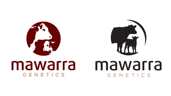 mawarrad's tweet photo. Mawarra Genetics Christmas 2020 Newsletter - https://t.co/9Q9IAZAWWY https://t.co/Afa5yaH3Hf
