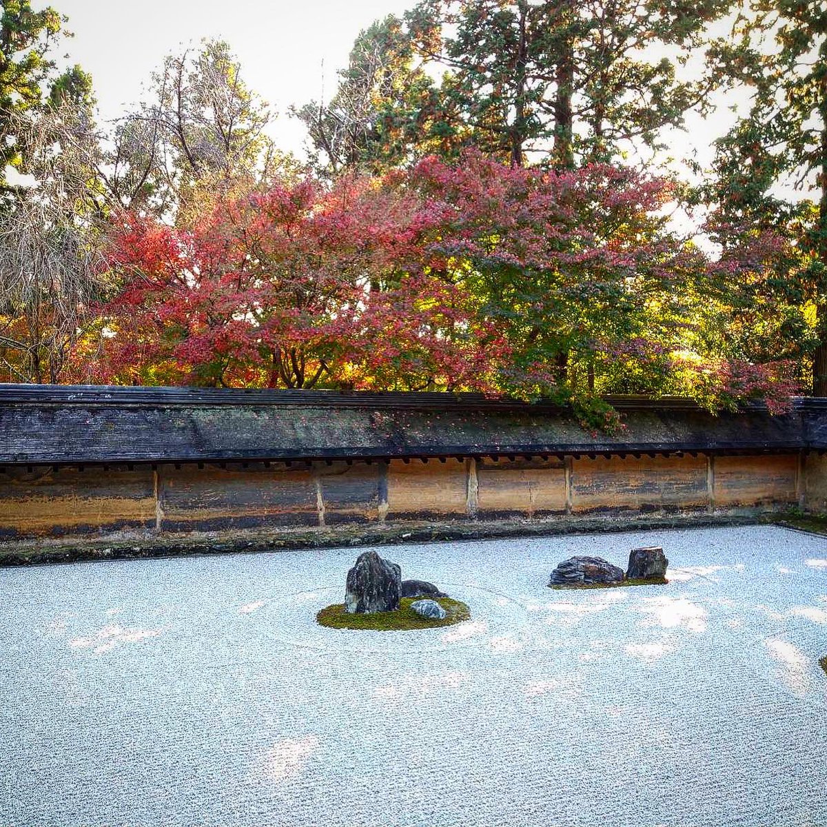 A pleasure guiding these two through the quiet corners of Kyoto city and beyond!

#kyototour #kyototrip #visitkyoto #japantrip #japantravel #traveljapan #japantour #japanese #visitjapan #explorekyoto #Daily #adventure #traveler #kyoto #norukyotobiketours #biketour
