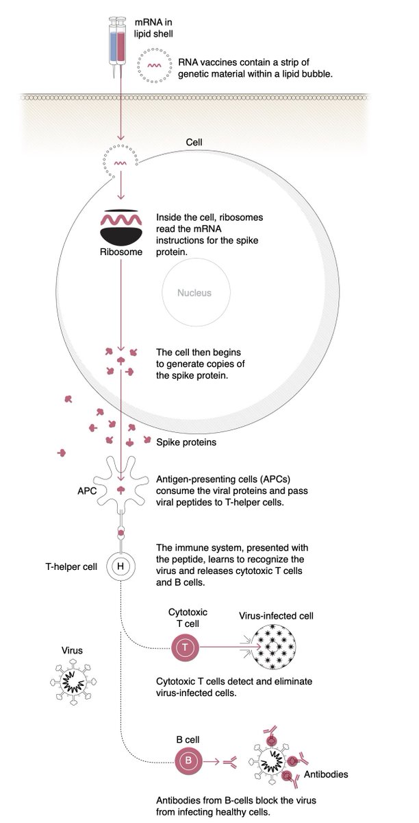 Eric Topol tweet media