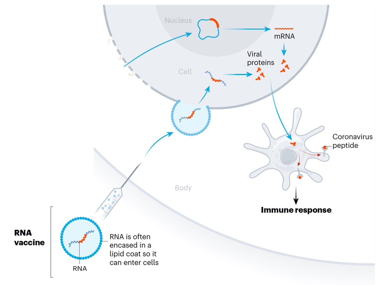Eric Topol tweet media