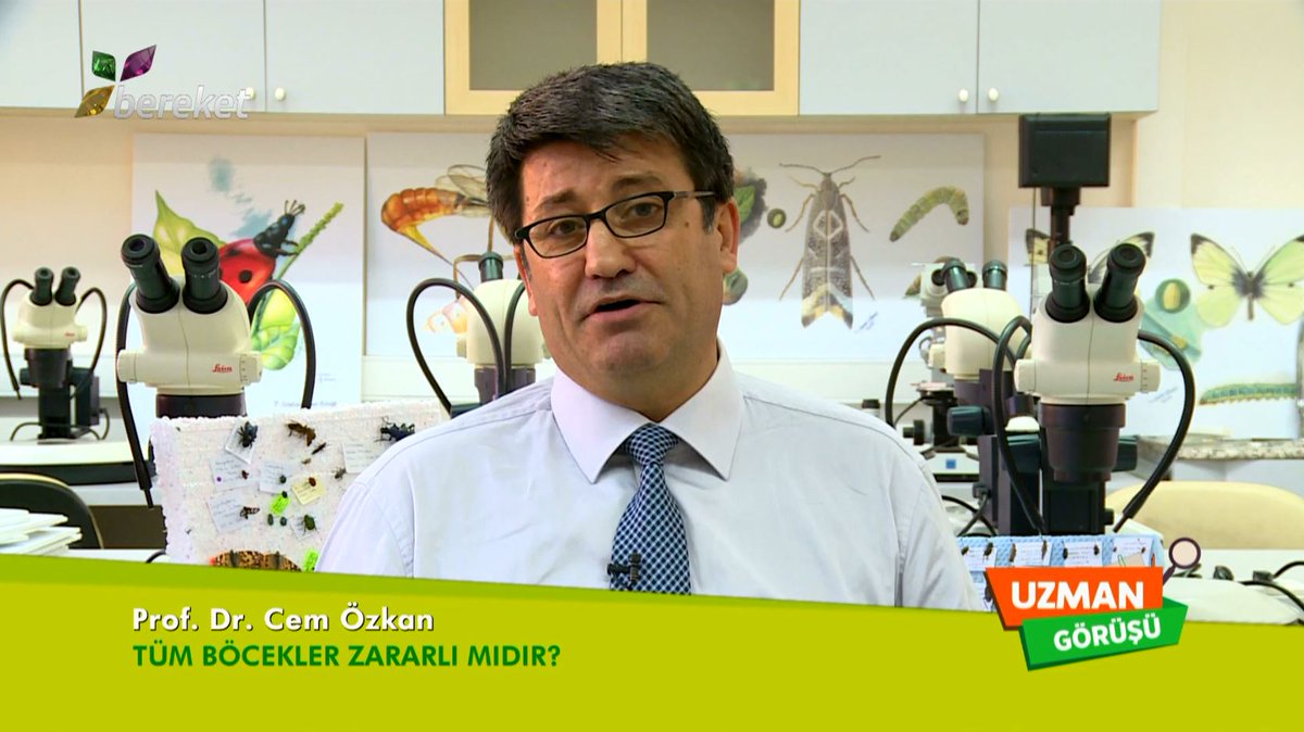 BereketTv's tweet image. 🟡 Uzman Görüşü - Tüm Böcekler Zararlı Mıdır?

🔴 İzlemek İçin Linki Tıklayın 👉 youtu.be/gEAujLujKZ0

#böcekler #uzmangörüşü