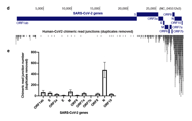 It does it most with subgenomic RNAs and the most expressed one is the N gene. Also happens to be the most popular target for qPCR testing.We really need ORF1a amplicon data to compare this to.