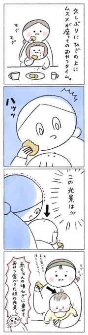 あの頃、君たちの頭頂部は菓子くずだらけだった。 