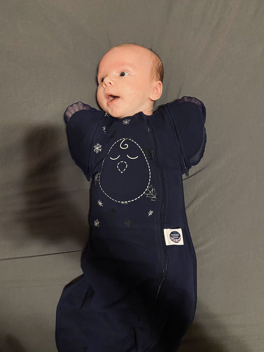 lauryncady's tweet image. We love @NestedBean 💙