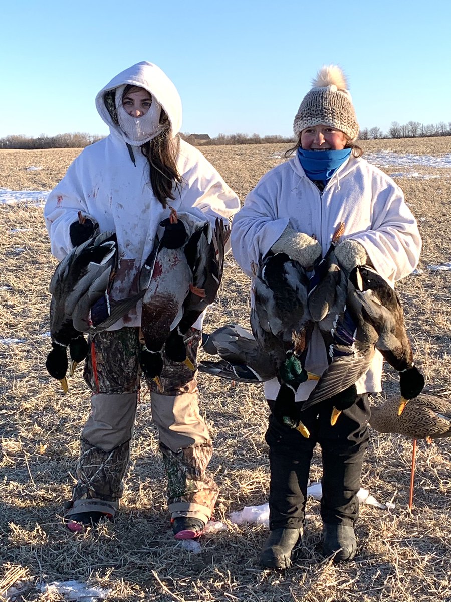 dougerickson22's tweet photo. Got out for one last duck hunt today. These girls are tough. -20c, Set up at 9 am, left the field at 430 pm. The ducks slept in but we thinned them out. #stonecoldkillers https://t.co/yFY2zGMm3g