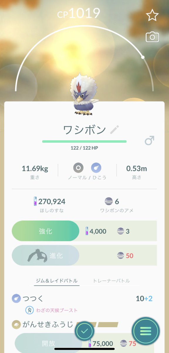 ポケモンgo ワシボンの色違い報告はある レイド数が少ないという声多数 ポケモンgo攻略まとめ速報 ポケモンgo ワシボンの色違い報告はある レイド数が少ないという声多数 ポケモンgo攻略まとめ速報