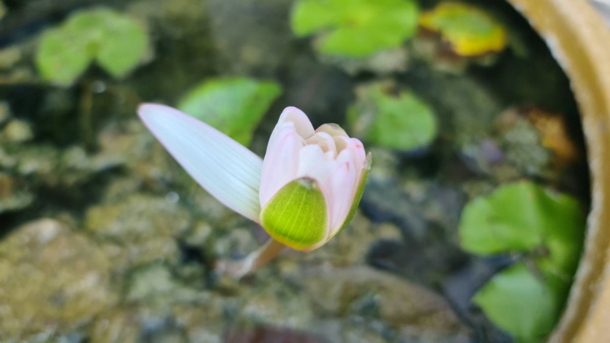 มอนิ่ง : วันจันทร์
สวัสดี : วันพระ