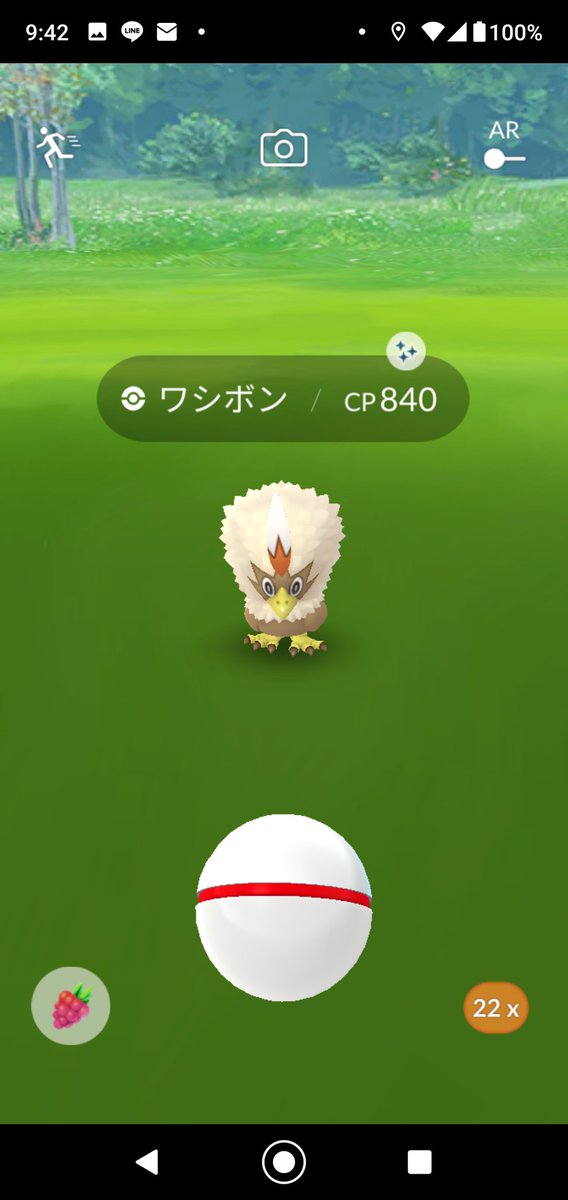 ポケモンgo ワシボンの色違い報告はある レイド数が少ないという声多数 ポケモンgo攻略まとめ速報 ポケモンgo ワシボンの色違い報告はある レイド数が少ないという声多数 ポケモンgo攻略まとめ速報