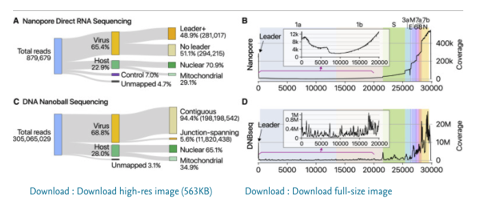 One of the push backs on this will be the chimeric read rate in Illumina sequencers. This is real but I just dont see how that would match the biology of the subgenomicRNAs.They see the most integrations events with the most highly expressed subgenomic RNA. Kim et al