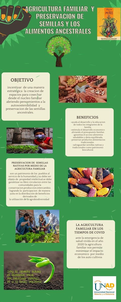 AstridIbague's tweet photo. #SERVICIOSOCIALUNADISTANLACASA Elevemos el legado de nuestros ancestros recuperando sus enseñanzas agrícolas y preservando las semillas nativas por una soberanía alimentaria. @SISSU_UNAD https://t.co/xQZzkY2EC5