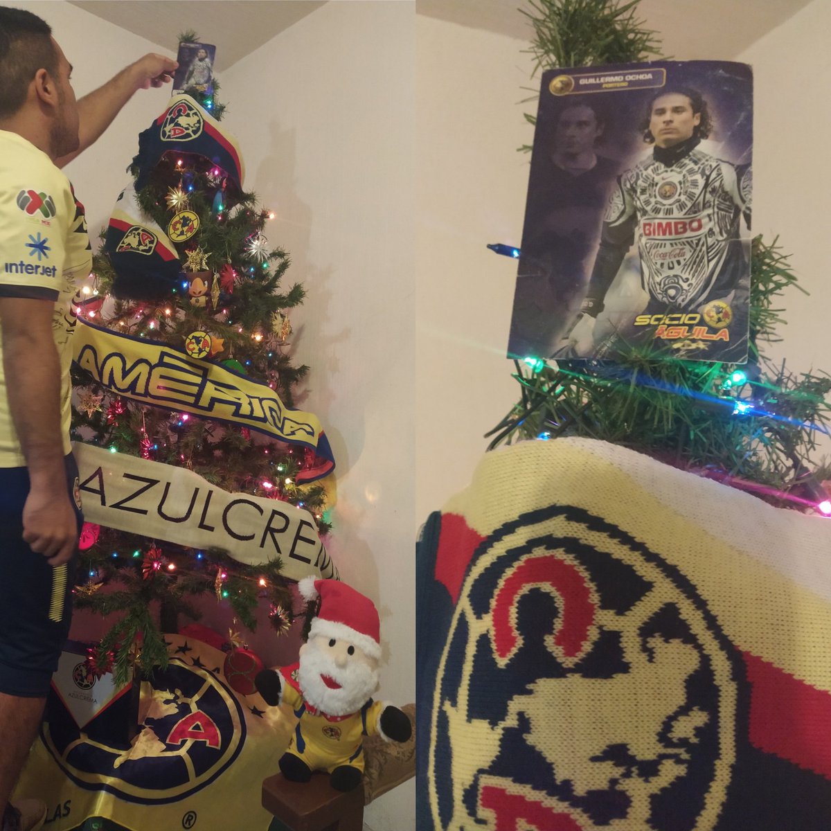 Hijo arregla el árbolito de Navidad a tu gusto y pon la estrella en lo más alto.
-No se diga más 🦅...