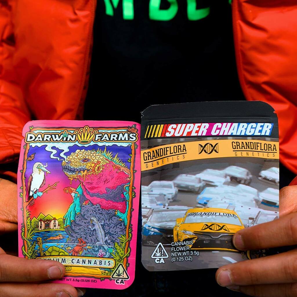 EmberzBrand's tweet image. Which one you enjoying your evening with? 🤔 #FollowTheFly #LightUpYourDay #CuratedCollective #Muzeum #Emberz #Grandiflora #DarwinFarms instagr.am/p/CIwnHbThWVY/