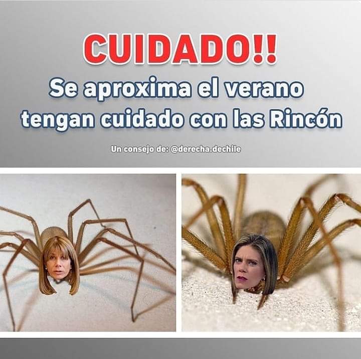 vivimatus's tweet photo. #PrensaBasura #PrensaSicaria #PrensaMiente #Iquique #Arixa #Valparaiso #PuertoMontt @fafu @PordenoneBudoia @gene_llerena @fedoraletelier @oabloomhuff @pablolirar @Carmen_E_muller @Lafacha8 @TERE_LAprofe73 @cardenaldo @thaubyfernando @ReneMValenzuel1 @Naty_Patriota @losrios1994 https://t.co/kN62aj2uT5