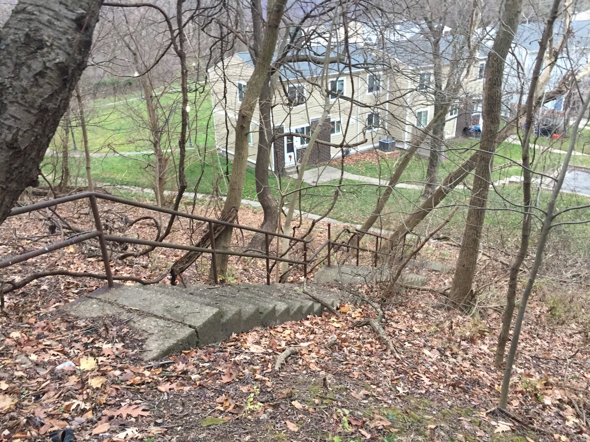 🏙 PittsburghTrail tweet media