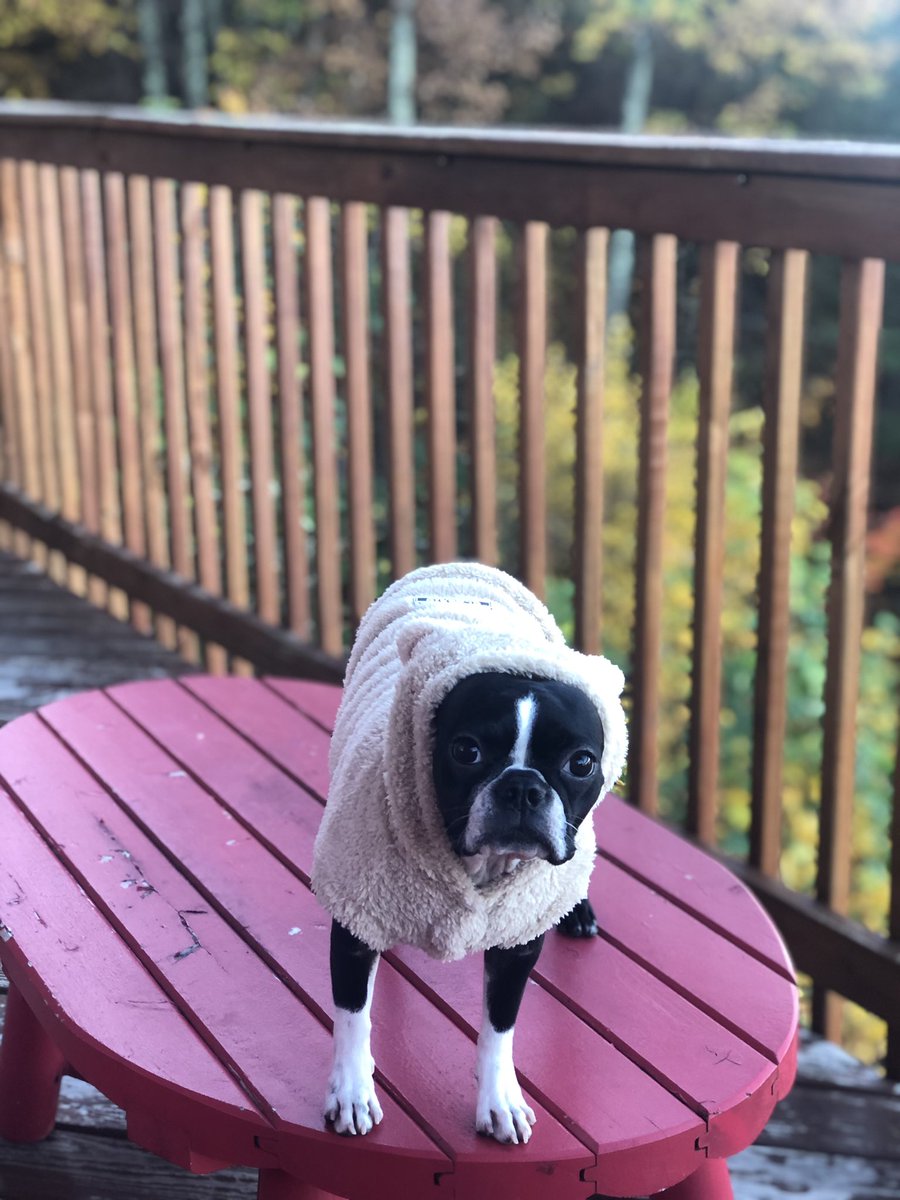 Roxy The Boston tweet media