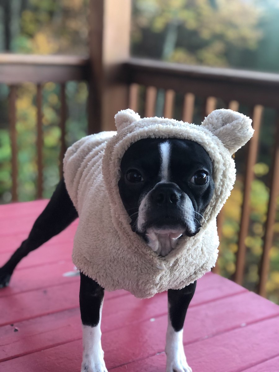 Roxy The Boston tweet media