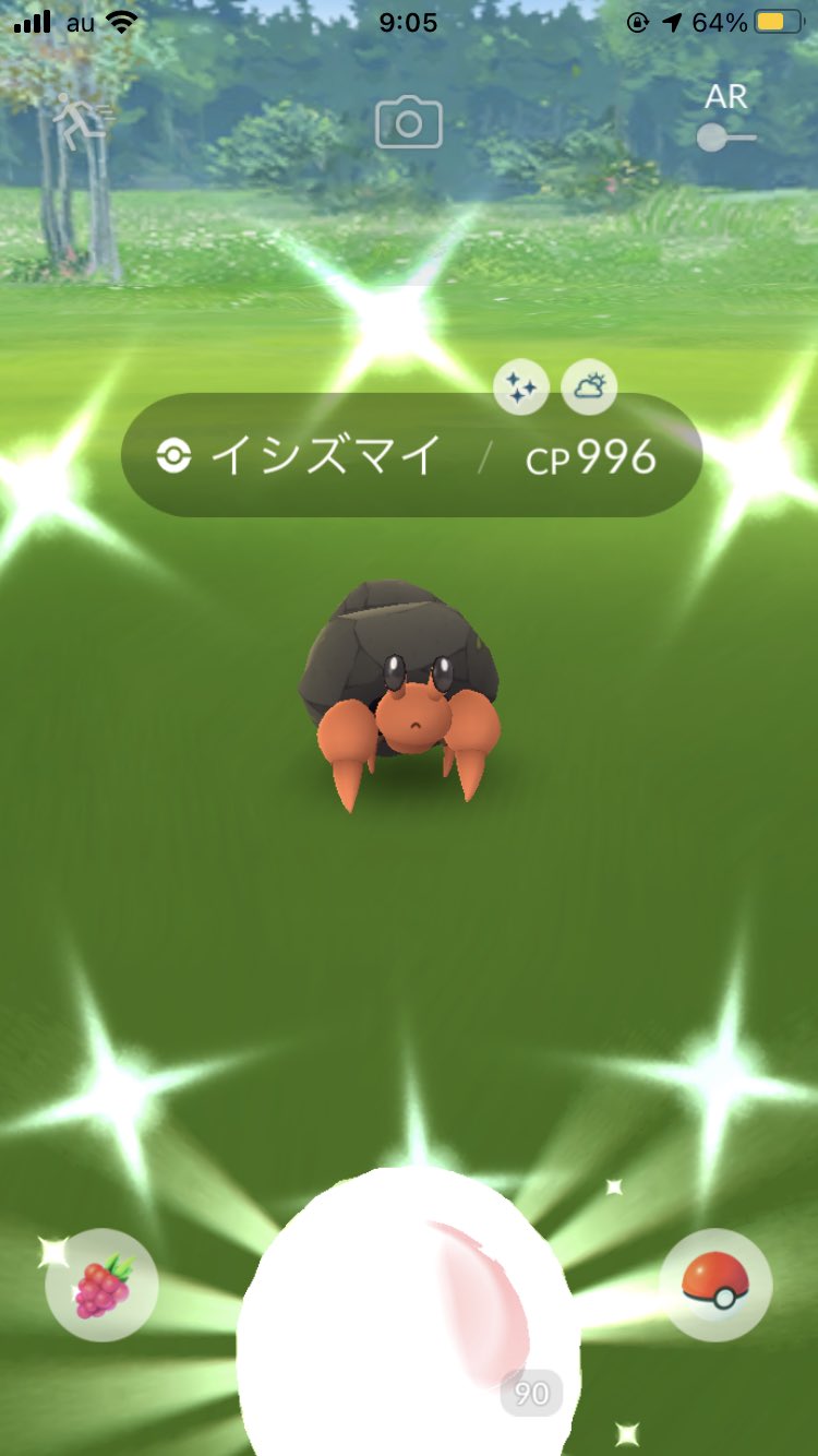 色違いイワパレス Twitter Search Twitter