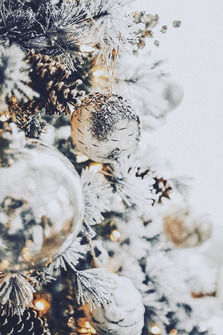 moonfleur_'s tweet photo. ❄Day One of #SVTXMAS - Sleigh ❄ https://t.co/tfADWP7ynz