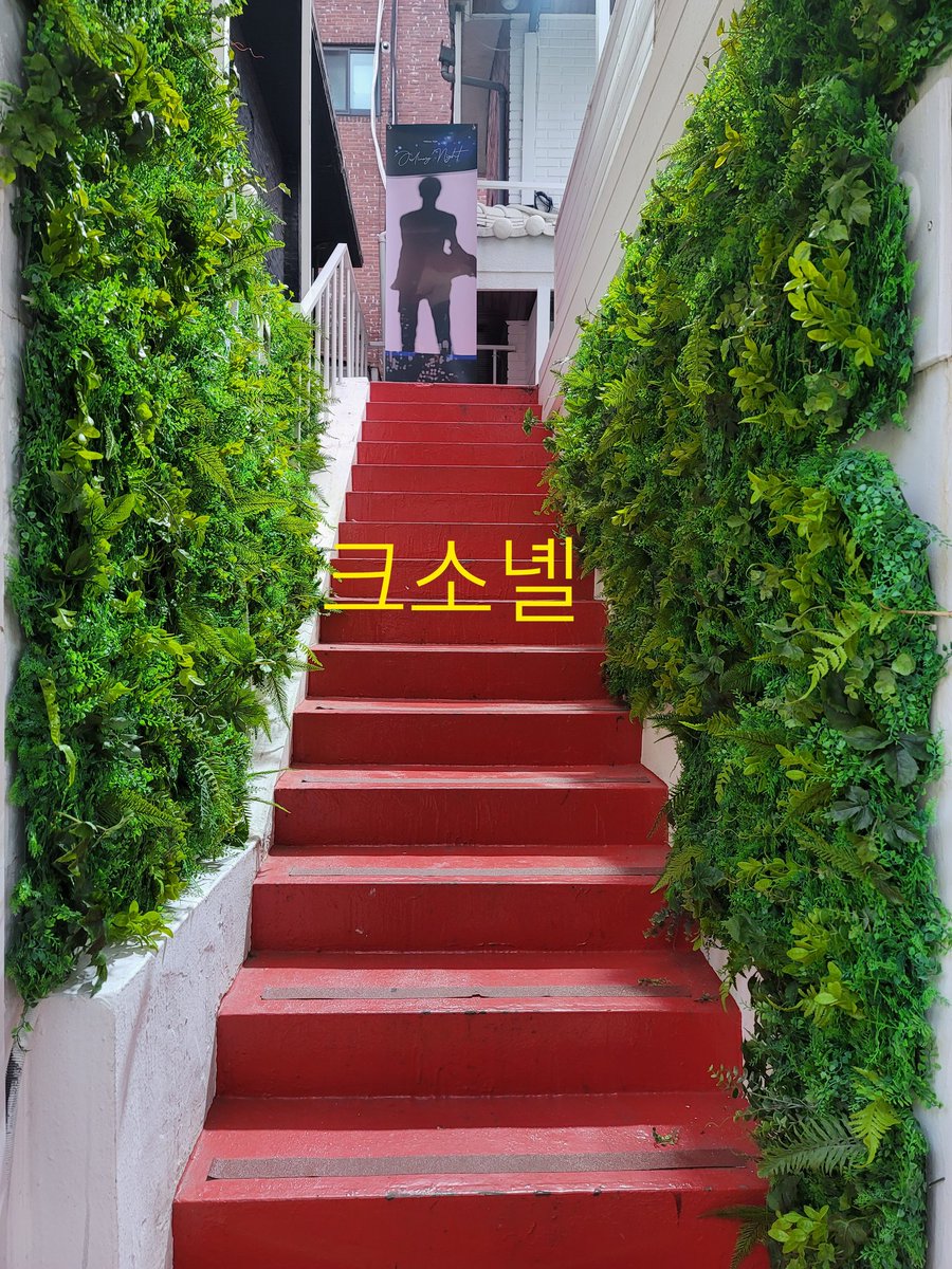 크고소중한녤 tweet media