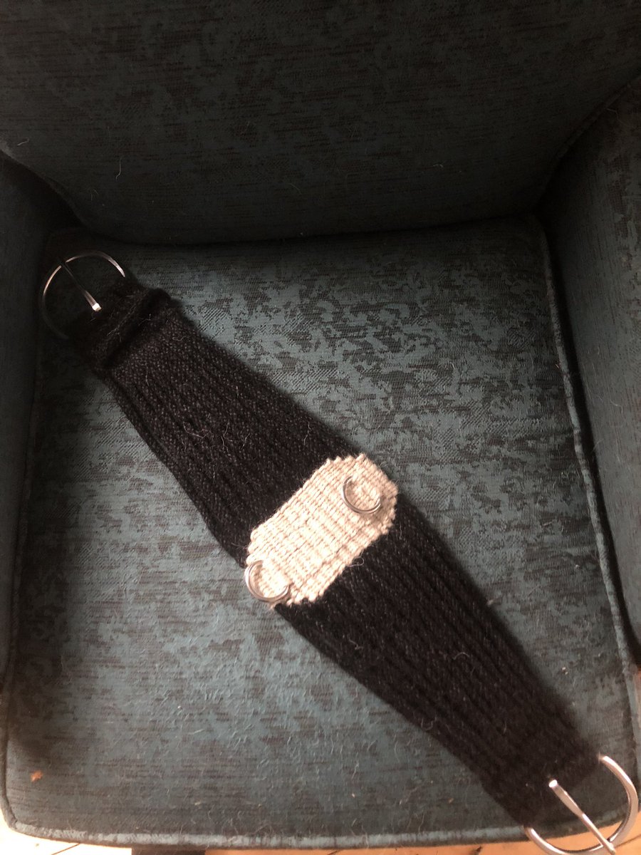 HomesteadwView's tweet image. Another cinch in the books!