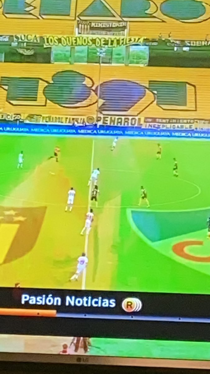 elgdelcap's tweet photo. Clarito El Chori Castro en invasion de cancha. Después no lloren.
#peñarol #PENvsNAC https://t.co/srtVNRpDTj