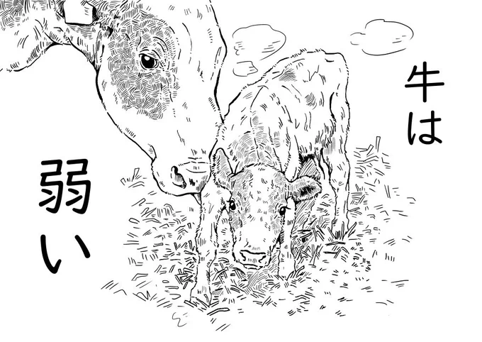 ??『牛』??来年は丑年なので「牛」について思っていることを描きました。※画像は全部で6枚なので次のスレッドに続きます。 