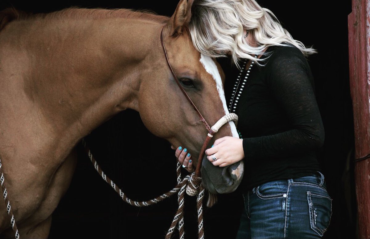 “Where in this wide world can
man find nobility without pride,
friendship without envy or beauty without vanity? Here, where grace is laced with muscle, and strength by gentleness confined.” 
The Horse- Ronald Duncan
#NationalDayOfTheHorse