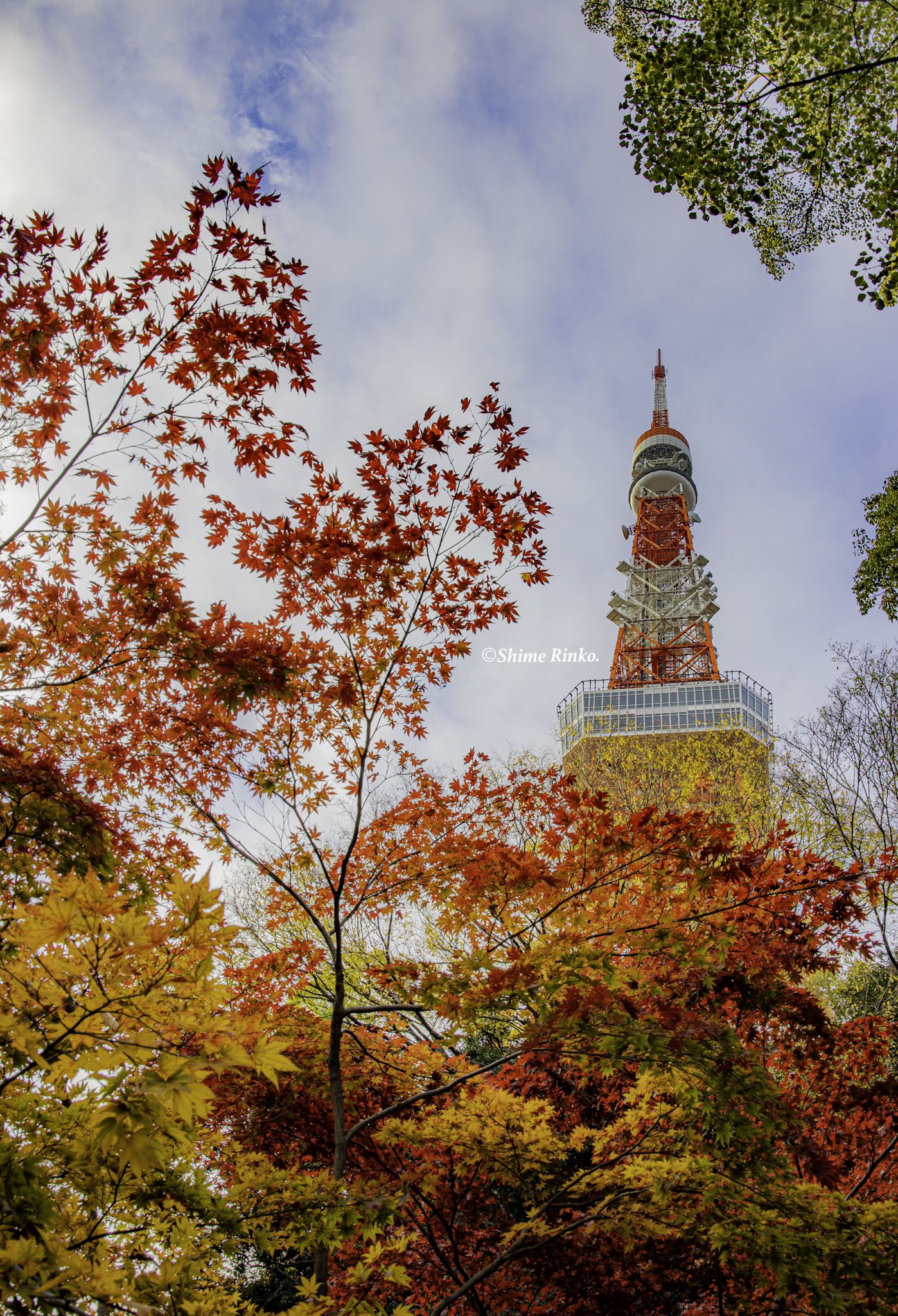 Shime Rinko Otoshinphoto Twitter