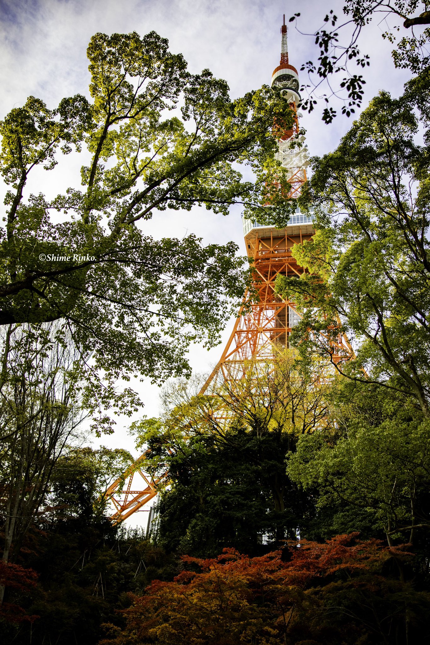 Shime Rinko Otoshinphoto Twitter