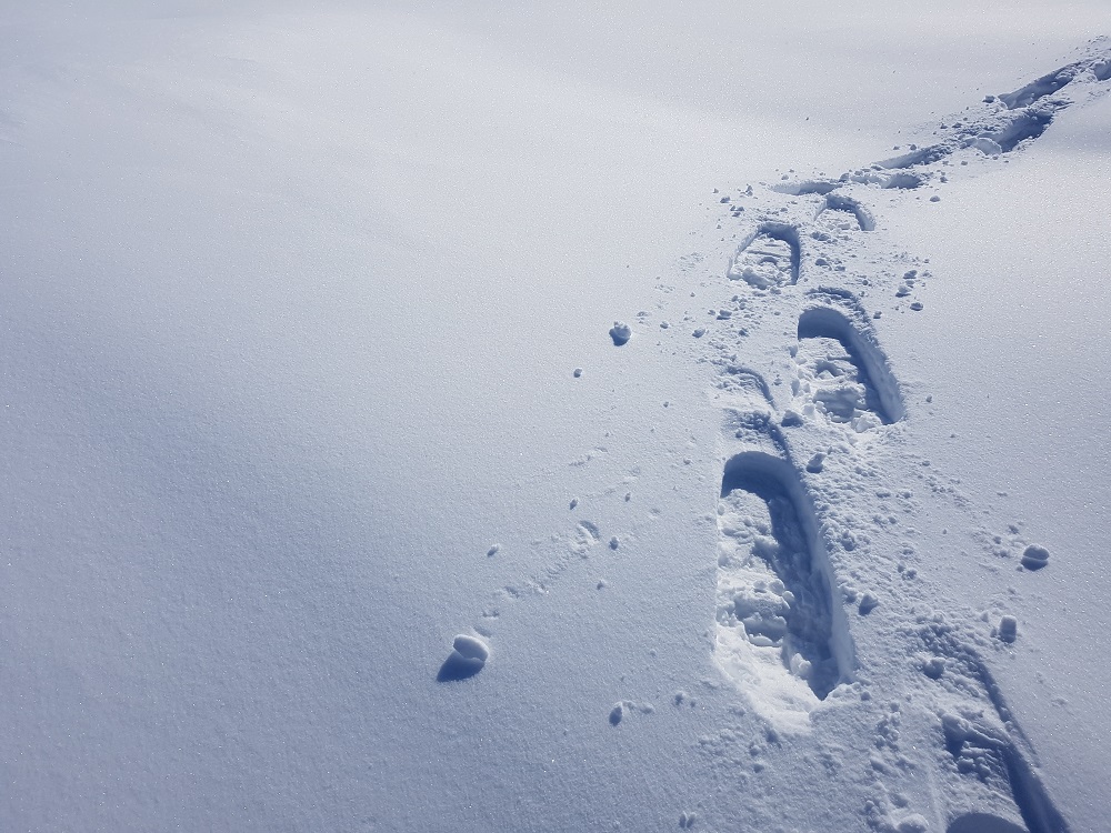 OntarioParks's tweet photo. Remember: take only pictures, leave only footprints.
#ParkProtector https://t.co/AW0PavGf5X