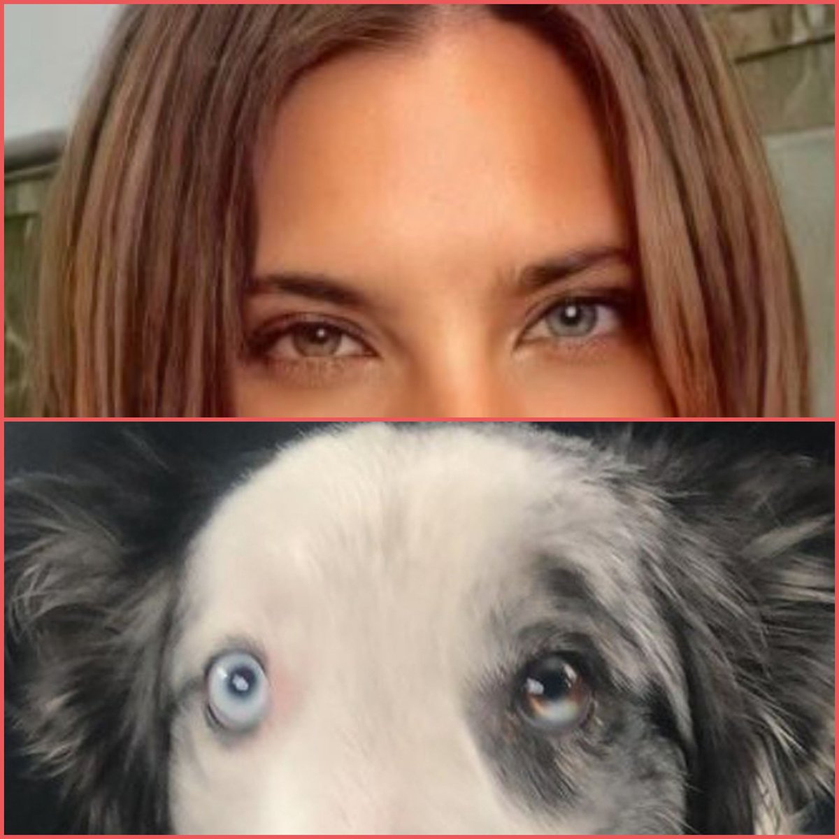 Achaga___Maca's tweet photo. 😳🍰🐶 #Lanarena 💘👀 @macabeso https://t.co/9ZPMNWj9Ca