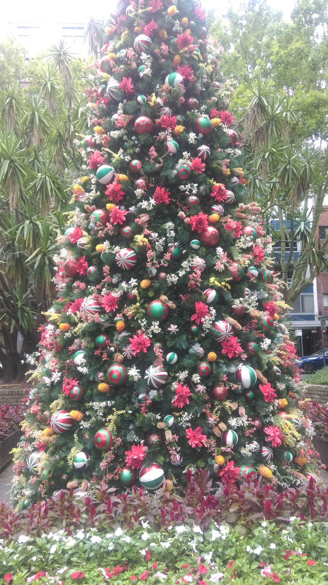 BARRYWADE's tweet photo. #HappyChristmas #Sydney https://t.co/kiesvdJJNZ