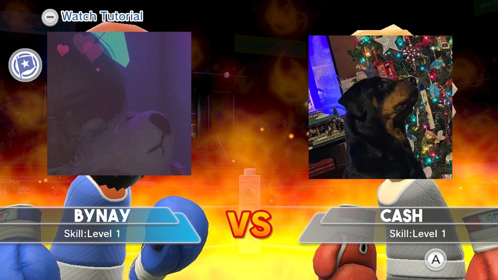 DesignerBeef's tweet image. 