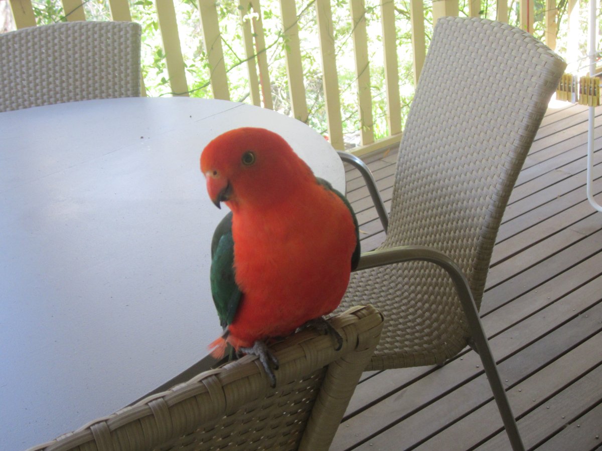 donbowen2's tweet image. 🙏Oh, Peter and @lisntell‼️

Now I have sticky fingers. 

What shall I do? 

🧁🧁🧁🧁🧁🧁
🧁🧁🧁🧁🧁🧁

#mycakes