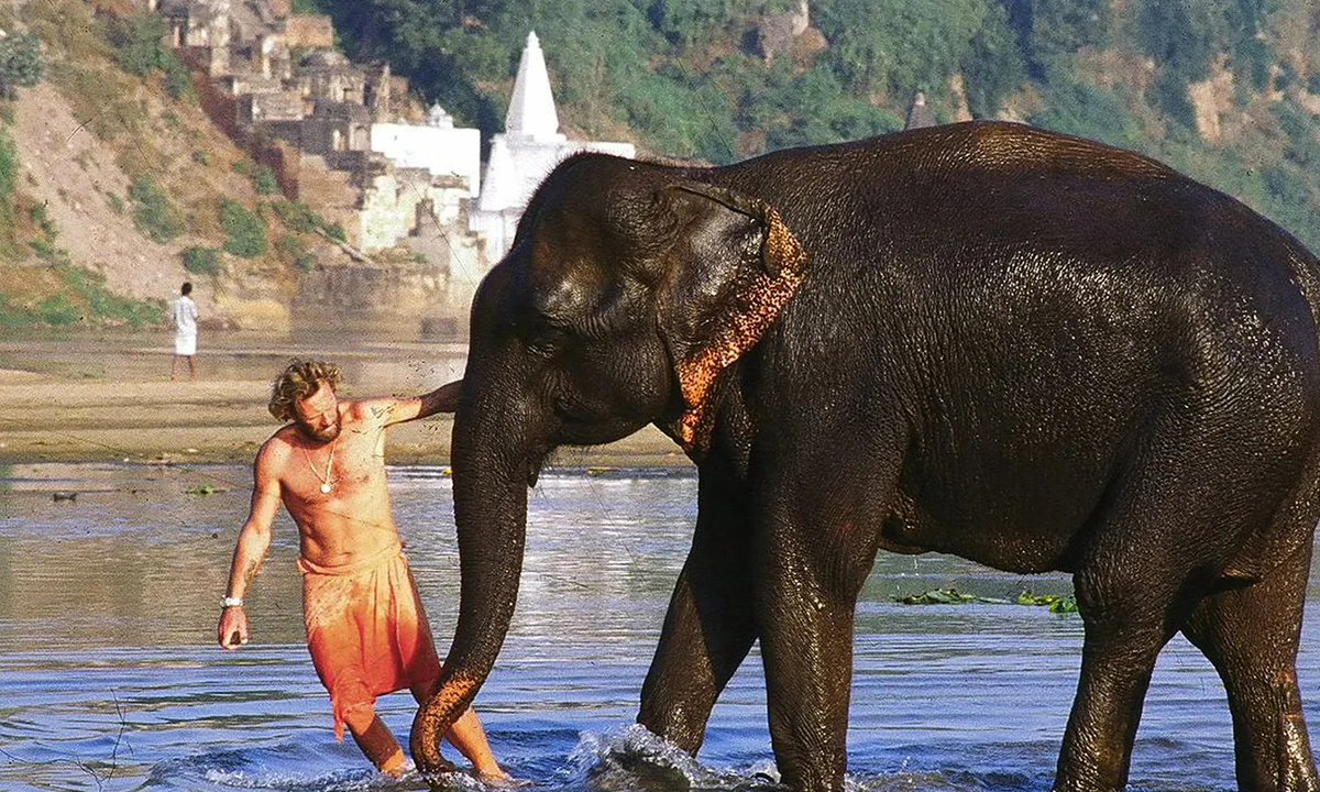 Then there is  @maanbarua fascinating way of looking at  #elephants as cosmopolitan animals. He conducts ethnography of elephant  #conservation -from the political ecology of conserving corridors to the travels on elephant by the late Mark shand  @elephantfamily then onto UK 3/n