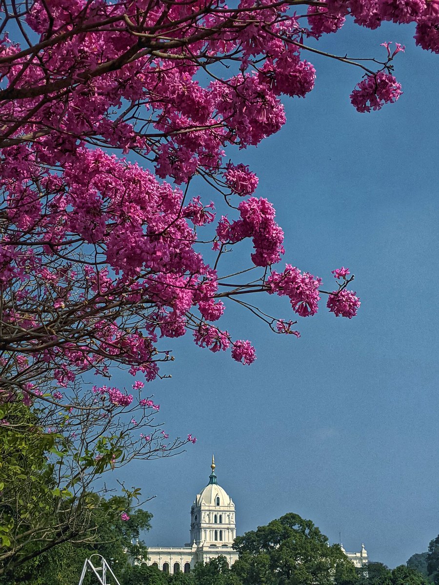 thinkbigh's tweet photo. December Glow ! #decemberglow #mysuru #mysore #december https://t.co/6BUkVTZsiC