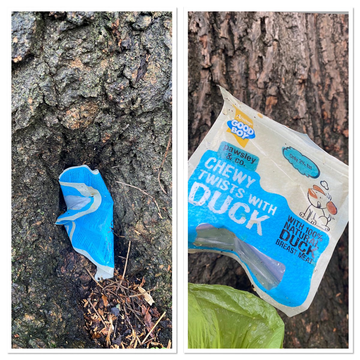 What a treat to find this hidden in a tree! Why would dog owners want to leave our parks and green spaces looking so mucky??